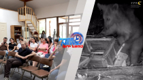Երբ սահմանը ջնջվում է․ մարդն ու վայրի կենդանին՝ նույն տարածքում