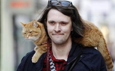 Սատկել է Բոբ մականունով հայտնի շիկակարմիր կատուն