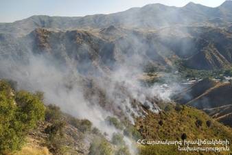 Վայք քաղաքի գերեզմանատան մոտակայքում այրվում է խոտածածկ տարածք