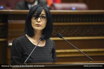 Ու՞ր էիք, այ բնիկ երևանցիներ, ինչո՞ւ էիք լռում. Արփի Դավոյան