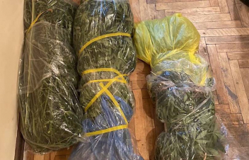 Էջմիածնի բնակարաններից մեկում հայտնաբերվել է մոտ 23կգ մշակված կանեփի բույս, 240գ. նույն բույսի թաց զանգված, կաթուցիչ