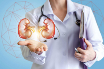 Երիկամների համար օգտակար սննդամթերքի տեսակներ, որոնք հարկավոր է անպայման ներառել սննդակարգում