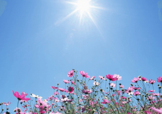 Ինչ եղանակ է սպասվում առաջիկա օրերին