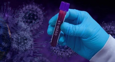 Ինչո՞ւ են մարդիկ կորոնավիրուսի ժամանակ հոտառությունը կորցնում