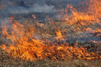 Հրշեջ-փրկարարները մարել են ընդհանուր 38․7 հա տարածքում բռնկված հրդեհները