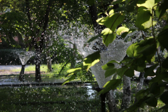 Ուսանողական այգու տարածքն արդեն ոռոգվում է