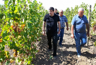 Ասկերանի Ակնա թաղամասում այգեգործության զարգացման մեծ ծրագիր կսկսվի