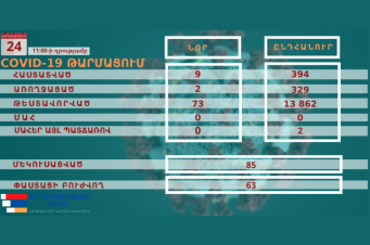 Արցախում հաստատվել է կորոնավիրուսի 9 նոր դեպք, վարակվածների ընդհանուր թիվը 394 է