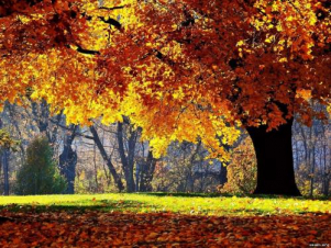 Հայաստանում տեղումներ չեն սպասվում