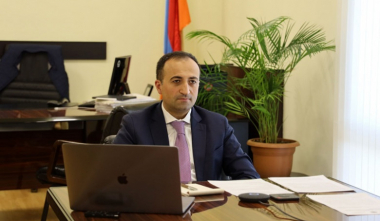 Արսեն Թորոսյանը տեսազրույց է ունեցել ԱՀԿ ներկայացուցչի հետ
