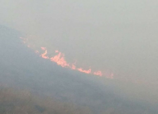 Թշնամին Արցախի գրեթե բոլոր շրջանների անտառային գոտիներում կիրառում է հրկիզող հրթիռներ. ԱՀ ԱԻՊԾ