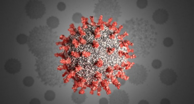 Ինչու չի կարելի կորոնավիրուսի դեպքում ինքնուրույն հակաբիոտիկներ ընդունել