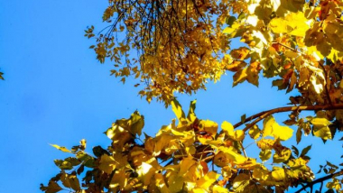 Հանրապետությունում օդի ջերմաստիճանը կբարձրանա