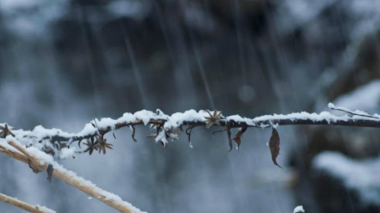 Առաջիկա 5 օրվա եղանակի կանխատեսում