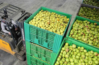 Ռուսաստանը կարգելի Ադրբեջանից խնձորի եւ լոլիկի ներկրումը