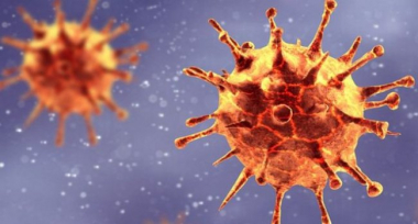 Ի՞նչ ախտանիշներով է հնարավոր հայտնաբերել կորոնավիրուսի բրիտանական շտամը երեխաների մոտ