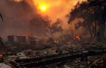 Պատերազմը ծանր հետևանքներ է թողել բուսական ու կենդանական աշխարհի վրա՝ թունավորումից մինչև հրդեհներ