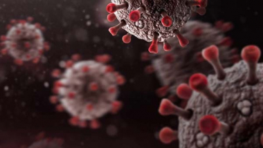 ԱՀԿ-ն նշել է COVID-19-ի մարդուն փոխանցման չորս տարբերակ