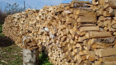 Պետությունը Շիրակի մարզի սոցիալապես անապահով ընտանիքներին կտրամադրի վառելափայտ