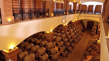 Կառավարությունը տարածք տրամադրեց «Արմենիա Վայն»-ին՝ 5000 աշխատատեղի ստեղծման ծրագիր իրականացնելու համար