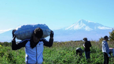 Գյուղոլորտում 2020-ին 2018-ի համեմատ տրամադրվել է 6 անգամ ավելի վարկ. Նիկոլ Փաշինյան