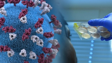 Արցախում հաստատվել է կորոնավիրուսային հիվանդության 1 դեպք