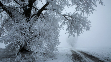 Հայաստանի մի շարք ճանապարհներին բուք է և մերկասառույց