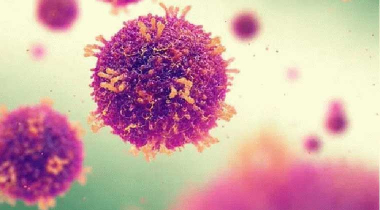 Վրաստանում արձանագրվել է կորոնավիրուսի 450 նոր դեպք