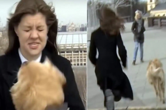 «Միր 24»-ի հեռուստադիտողներն ուղիղ եթերում ականատես են եղել՝ ինչպես է շունը «գողանում» հաղորդավարի խոսափողը (լուսանկարներ)