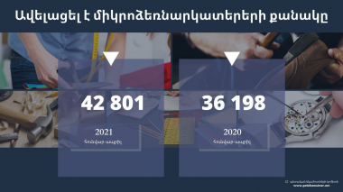 Միկրոձեռնարկատերերի թիվն ավելացել է․ ՊԵԿ