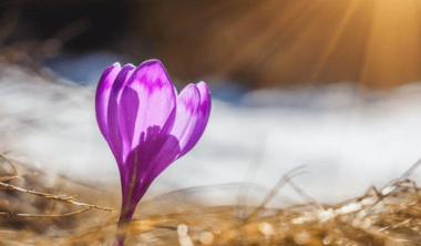 Օդի ջերմաստիճանն աստիճանաբար կբարձրանա 7-9 աստիճանով