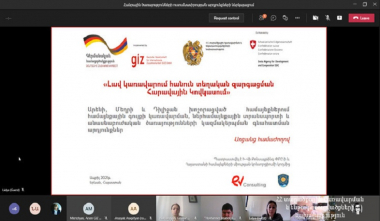 Արենիում, Մեղրիում և Դիլիջանում իրականացվել է համայնքային ծառայությունների գնահատում