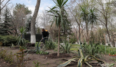 Բարեկարգվում է Ազգային ժողովի այգին