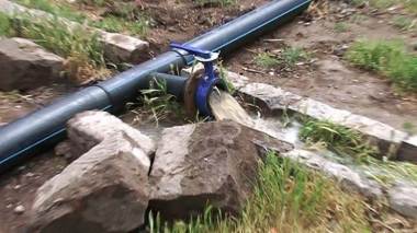 Արմավիրի ոստիկանները պետական-հասարակական ունեցվածքի գողության դեպք են բացահայտել