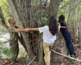 Ալիևների նկարը «Սոսու պուրակ»-ում չէ. հերքում 