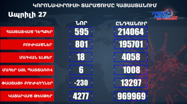 Հայաստանում հաստատվել է կորոնավիրուսով վարակվելու 595 նոր դեպք, մահացել է 24 մարդ