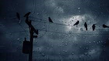 Հայաստանում սպասվում է ուժեղ քամի, ինտենսիվ ամպրոպներ, հնարավոր է՝ կարկուտ