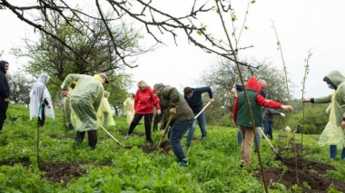 Կողբում տեղի է ունեցել բարեգործական ծառատունկ` ի աջակցություն Թումո կենտրոնի կառուցմանը