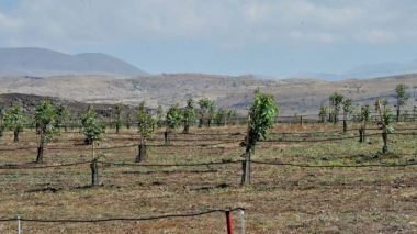 Պատգամավորներն առաջարկեցին սահմանամերձ համայնքում աճեցված բուսաբուծական արտադրանքի գնման երաշխիք տալ