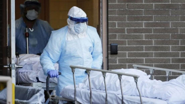 Արգենտինայում գրանցվել է «սև բորբոսի» առաջին դեպքը