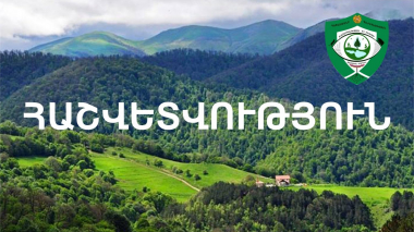 Արձանագրված 30 դեպքով հաշվարկվել է ավելի քան 40 մլն ՀՀ դրամի չափով շրջակա միջավայրին հասցված վնաս