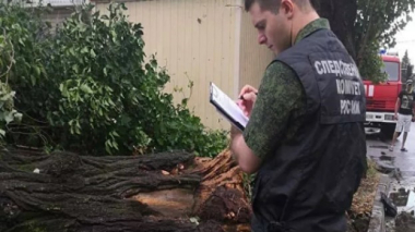 Սոչիում քամին ծառեր է տապալել․ մեկ մարդ մահացել է, երկուսը՝ վիրավորվել