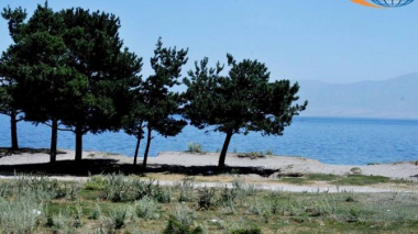 Կառավարությունը հաստատեց Սևանա լճի անտառային հատվածի մաքրման համար նախատեսված նախագիծը