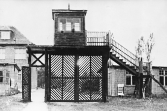 Գերմանիայում 96-ամյա կինը կդատապարտվի պատերազմի ընթացքում  կատարած սպանությունների համար