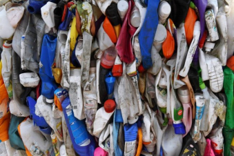 Գիտնականներն առաջարկել են պլաստիկը վերամշակել միջատների օգնությամբ