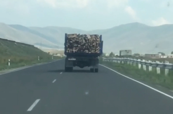 Արագածի բաժնի համայնքային ոստիկաններն ապօրինի փայտանյութ են հայտնաբերել (տեսանյութ)