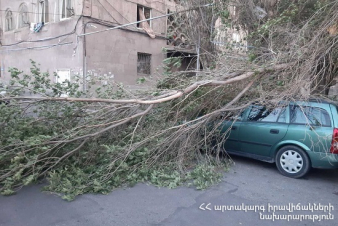 Երևանում ուժգին քամին բազմաթիվ վնասներ է հասցրել