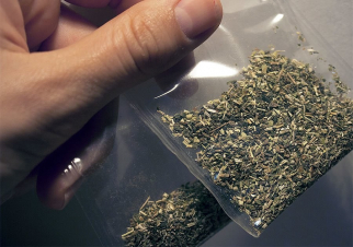 Էջմիածնի ոստիկանները առանձնապես խոշոր չափի թմրանյութ են հայտնաբերել