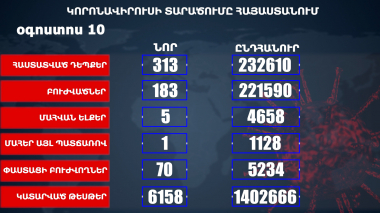 Հաստատվել է կորոնավիրուսի 313 նոր դեպք, առողջացել 183 քաղաքացի