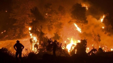 Հունաստանում անտառների հրկիզման համար ավելի քան 100 մարդ է բերման ենթարկվել